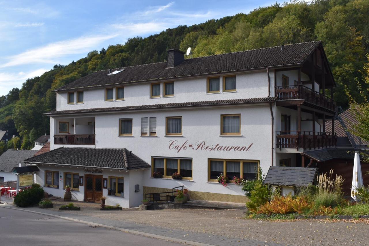 Hotel-Restaurant Theis-Muehle Biersdorf Exterior foto